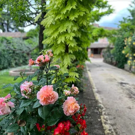 Casa De' Trinci