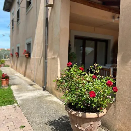 Casa De' Trinci