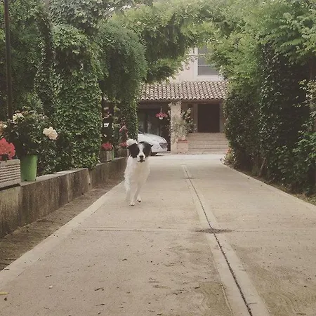 Casa De' Trinci 3* Foligno