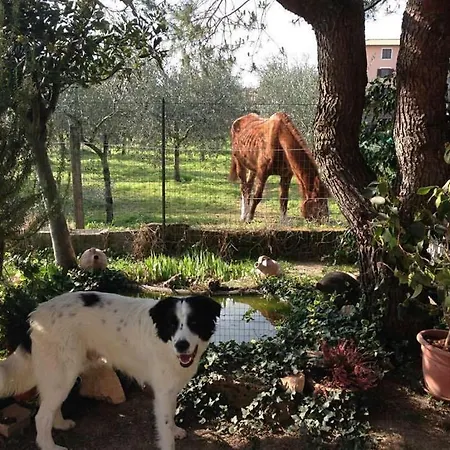 Casa De' Trinci Foligno