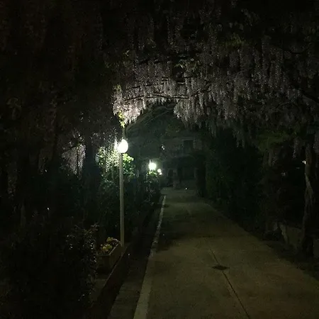 Casa De' Trinci Pensión