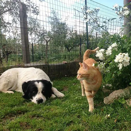 Pensión Casa De' Trinci Foligno