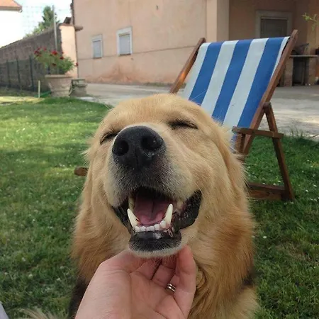 Casa De' Trinci Pensión