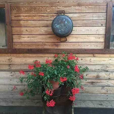 Pensión Casa De' Trinci 3*