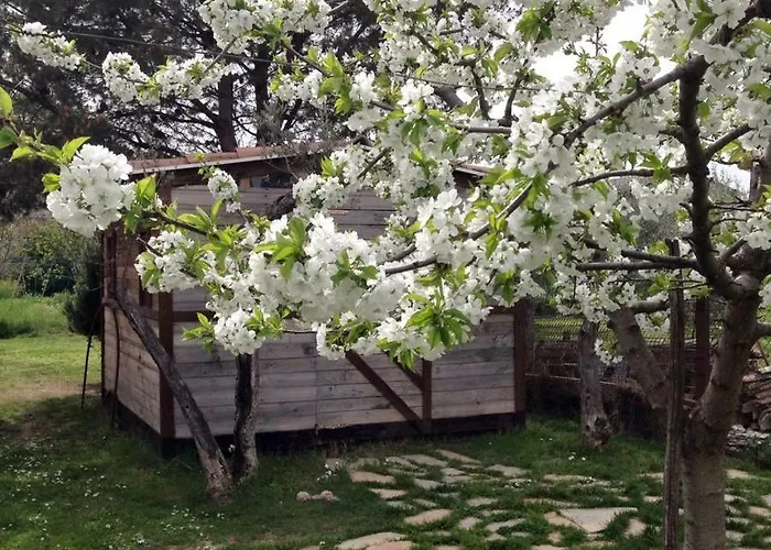 Guest house Casa De' Trinci