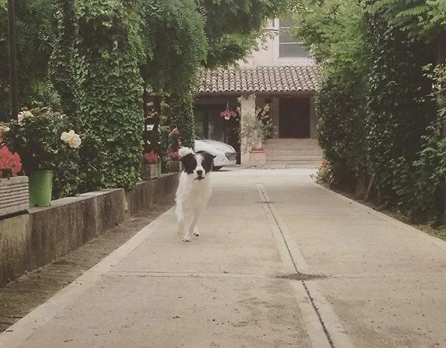 Casa De' Trinci 3* Foligno