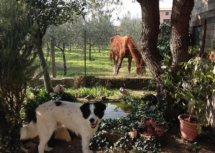 Casa De' Trinci Foligno