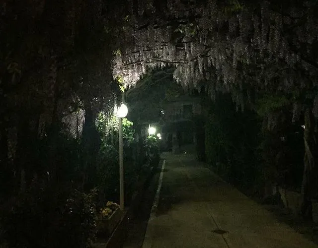 Casa De' Trinci Guest house