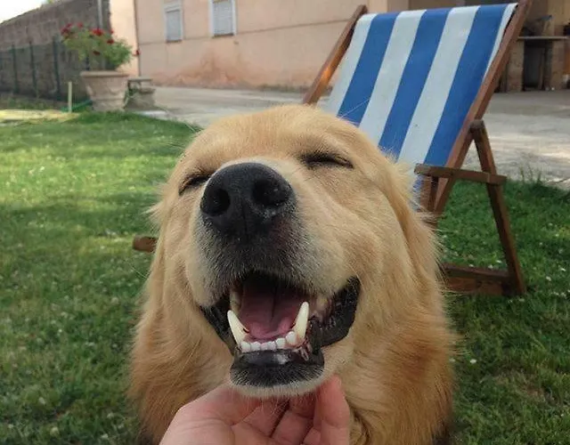 Casa De' Trinci Guest house