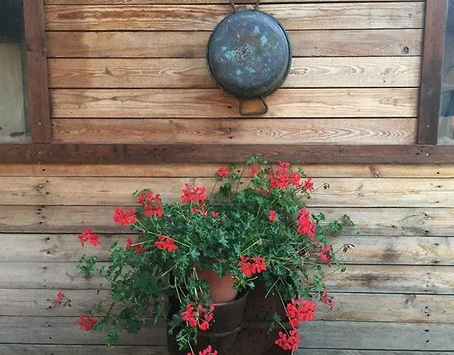 Guest house Casa De' Trinci 3*